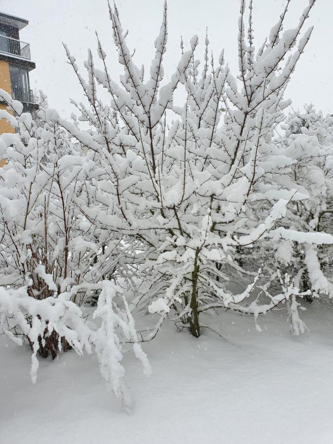 Wohnung im Schwarzwald mit Panorama Blick Kleines Wiesental Exterior foto