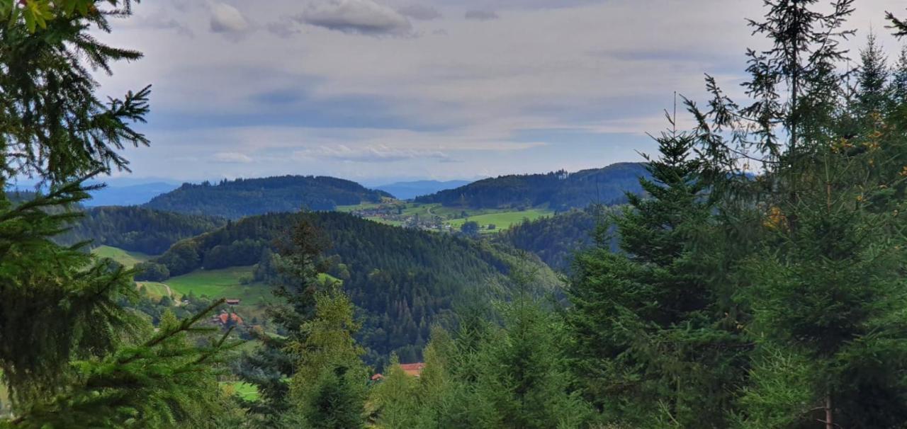 Wohnung im Schwarzwald mit Panorama Blick Kleines Wiesental Exterior foto