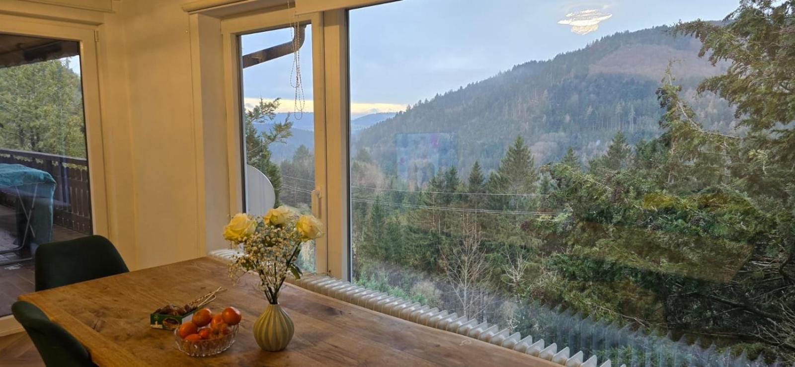 Wohnung im Schwarzwald mit Panorama Blick Kleines Wiesental Exterior foto