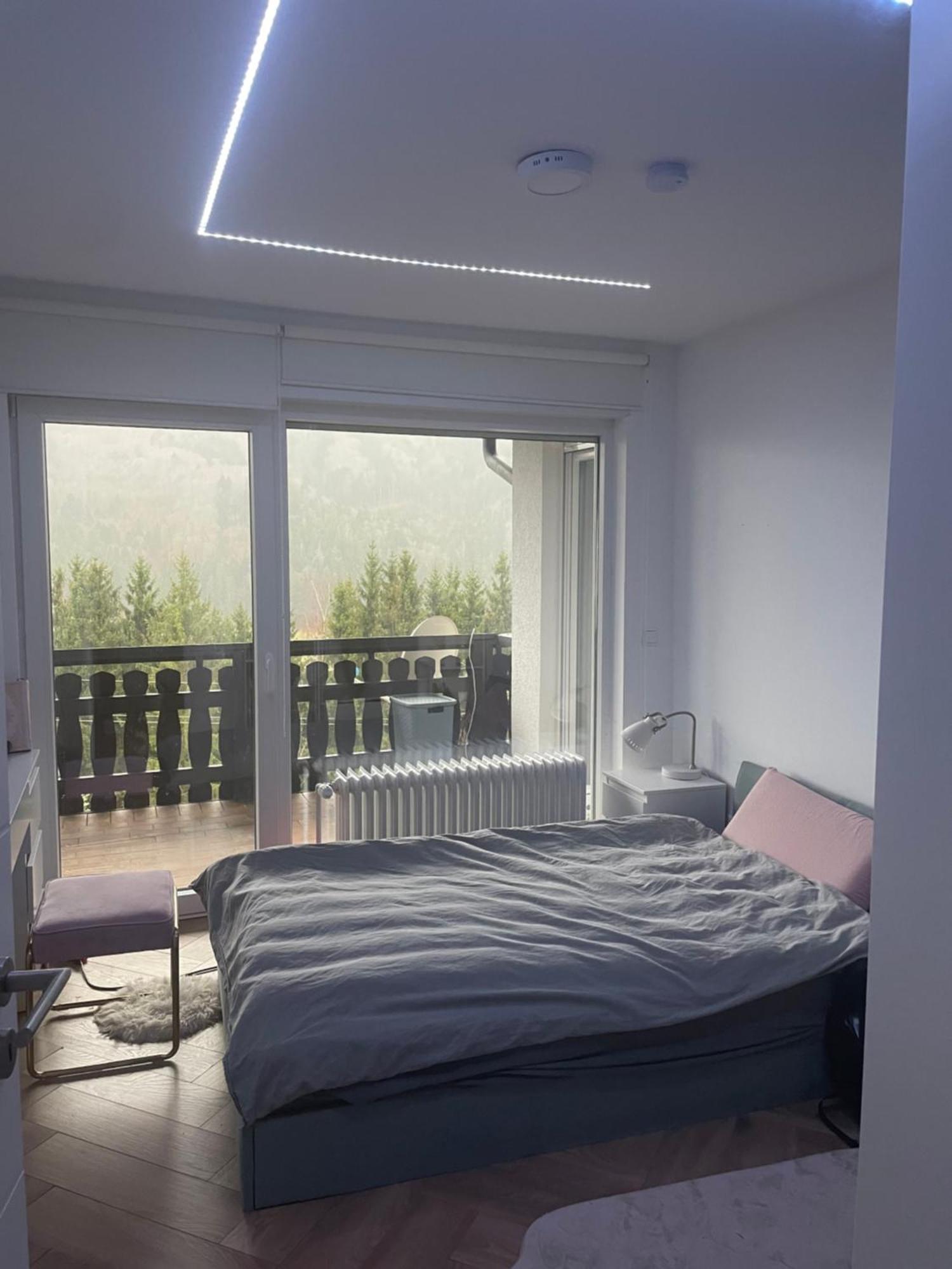 Wohnung im Schwarzwald mit Panorama Blick Kleines Wiesental Exterior foto
