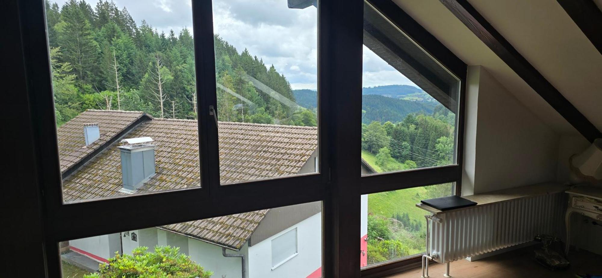 Wohnung im Schwarzwald mit Panorama Blick Kleines Wiesental Exterior foto