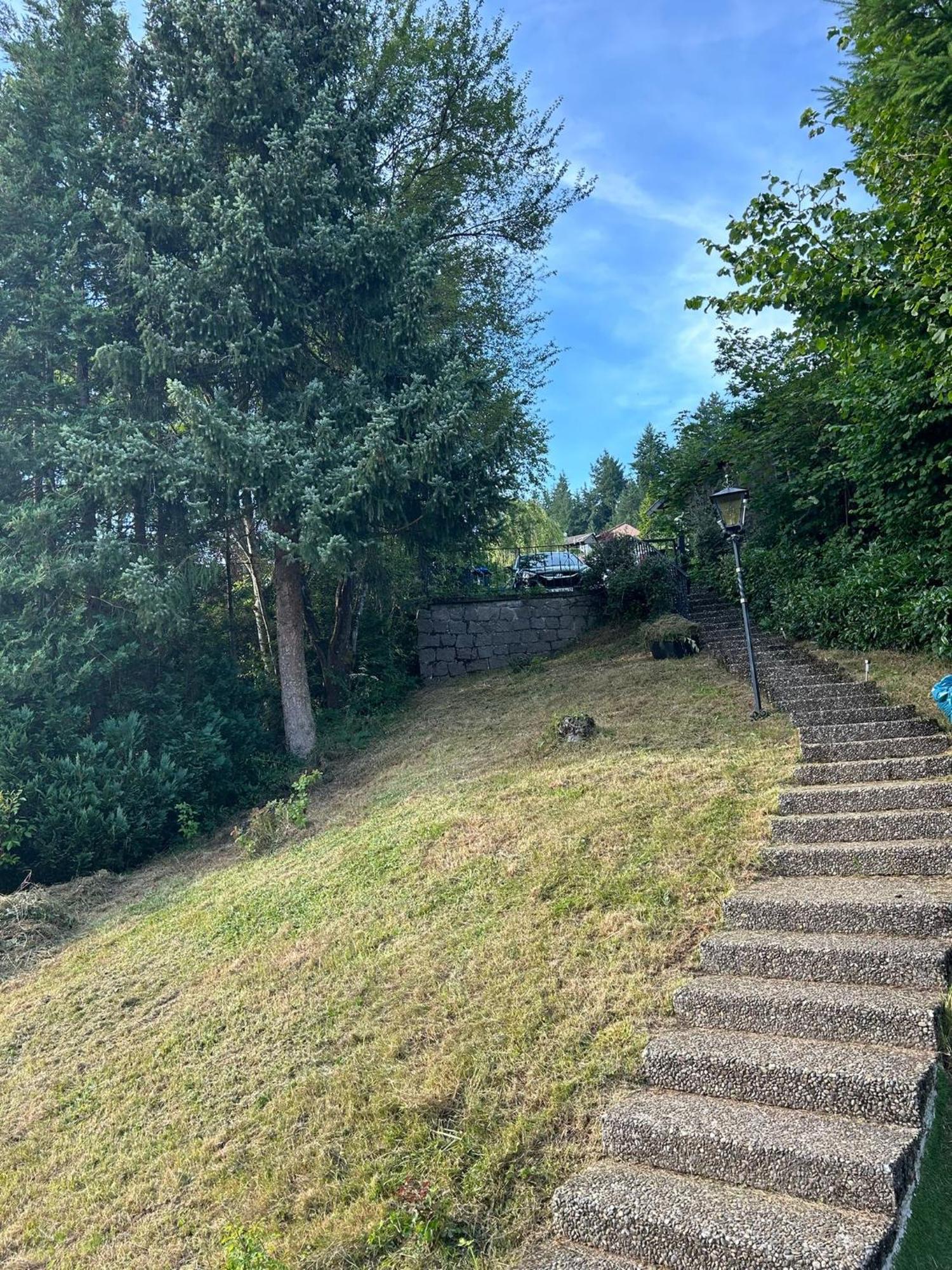 Wohnung im Schwarzwald mit Panorama Blick Kleines Wiesental Exterior foto
